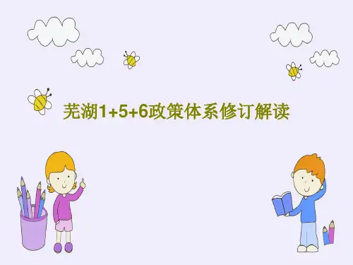 芜湖1+5+6政策体系修订解读45页PPT