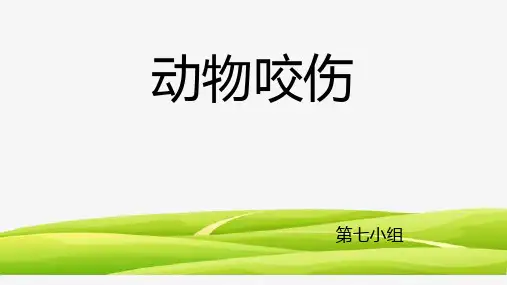 动物咬伤PPT