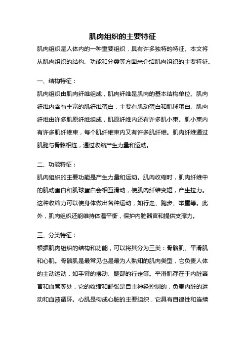 肌肉组织的主要特征