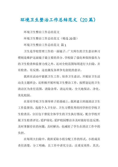 环境卫生整治工作总结范文(20篇)