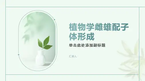 植物学 雌雄配子体形成