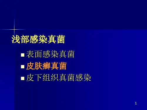 医学专题主要致病性真菌
