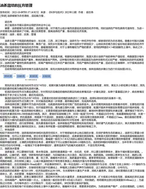 油茶栽培的抚育管理