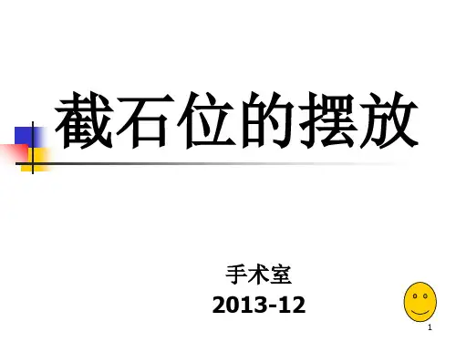 膀胱截石位 ppt课件