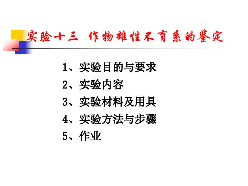 (植科实践)水稻雄性不育系鉴定
