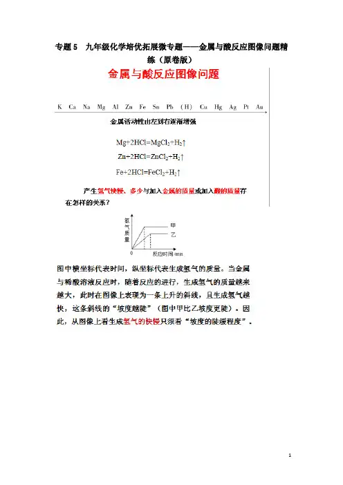 专题5   九年级化学培优拓展微专题——金属与酸反应图像问题精练(原卷版)