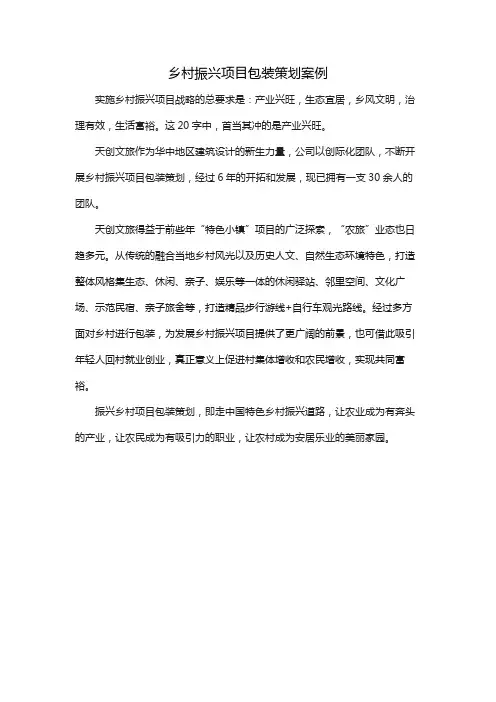乡村振兴项目包装策划案例