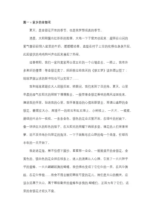 关于关于金银花的作文500字