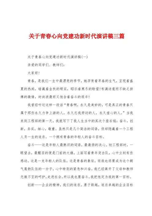 关于青春心向党建功新时代演讲稿三篇