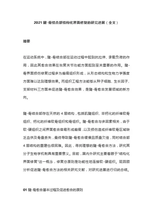 2021腱-骨结合部结构化界面修复的研究进展(全文)