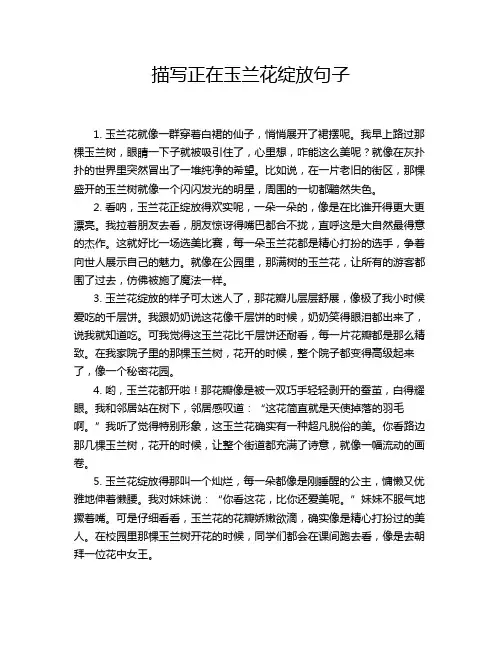 描写正在玉兰花绽放句子