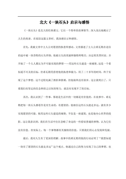北大《一块石头》启示与感悟