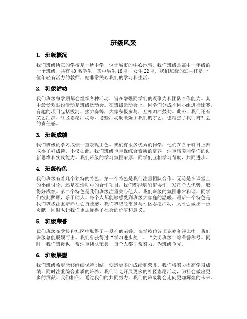 班级风采内容