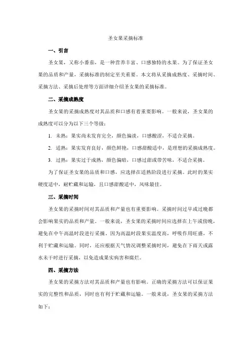 圣女果采摘标准