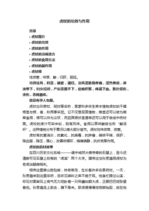 虎杖的功效与作用