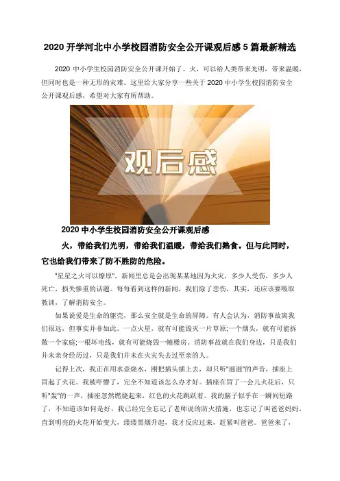 2020开学河北中小学校园消防安全公开课观后感5篇最新精选