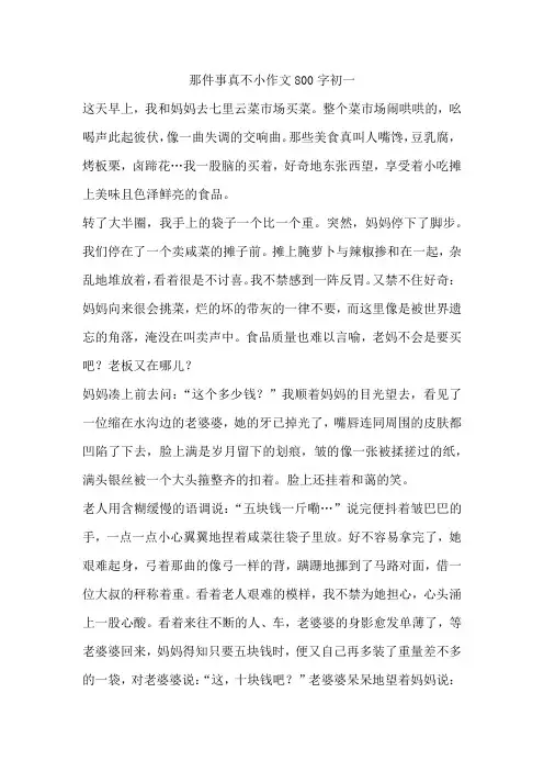 那件事真不小作文800字初一