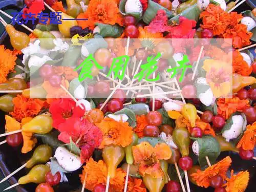 花卉专题—食用花卉