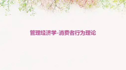 管理经济学-消费者行为理论