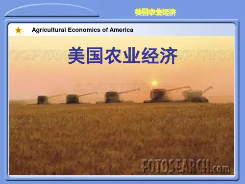 美国农业经济