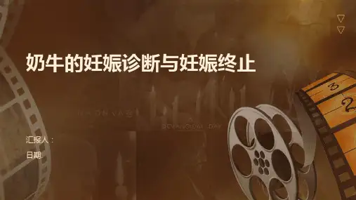 奶牛的妊娠诊断与妊娠终止