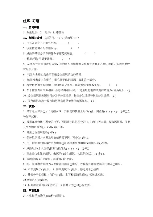 植物组织复习题及答案
