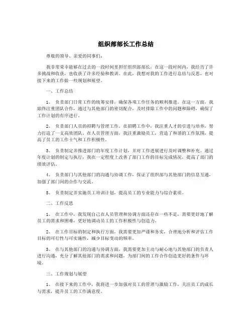 组织部部长工作总结