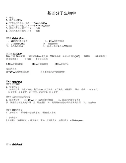 分子生物学-总目录