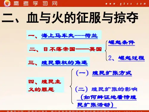 第二节：《血与火的征服与掠夺》课件
