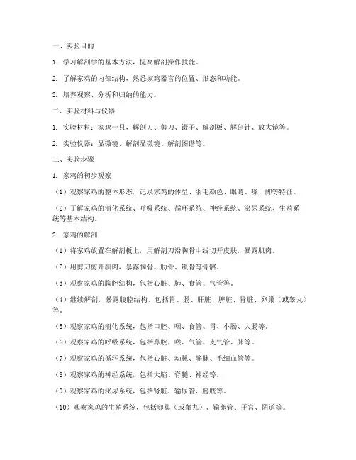 解剖家鸡实验报告