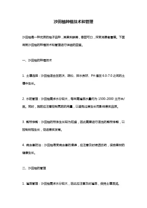 沙田柚种植技术和管理