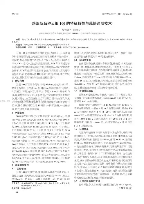 烤烟新品种云烟100的特征特性与栽培调制技术