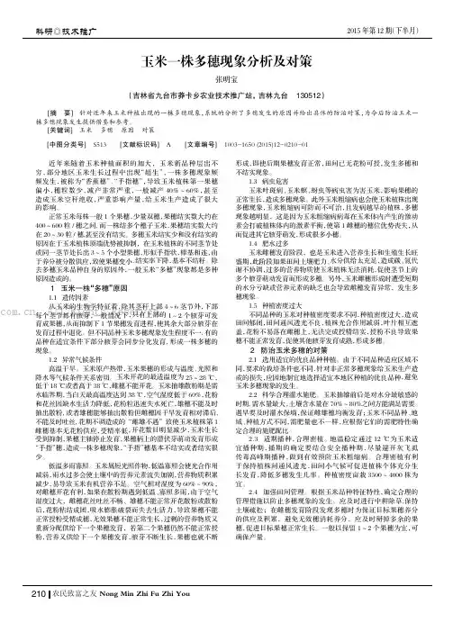 玉米一株多穗现象分析及对策