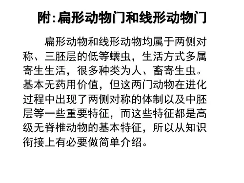 扁形、线形动物