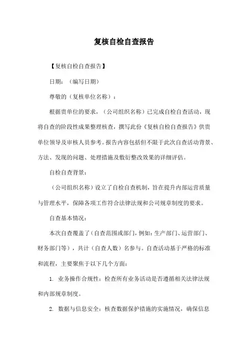 复核自检自查报告