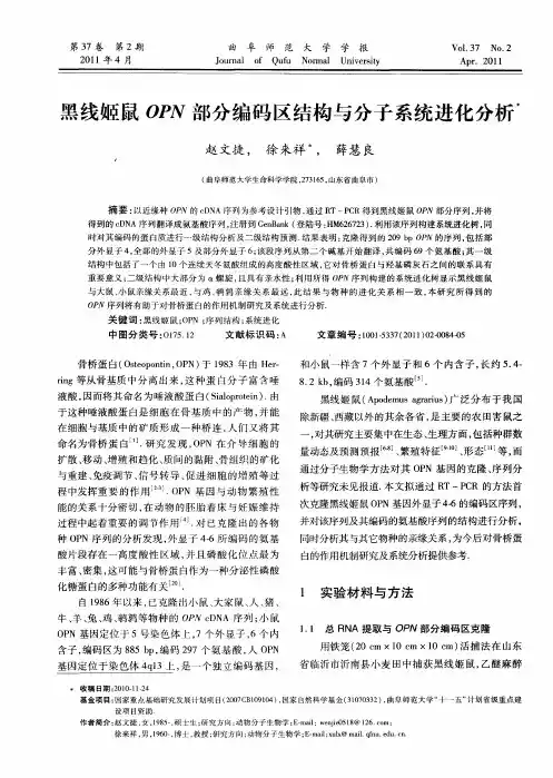 黑线姬鼠OPN部分编码区结构与分子系统进化分析