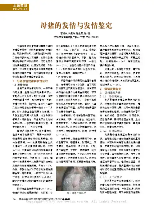 母猪的发情与发情鉴定