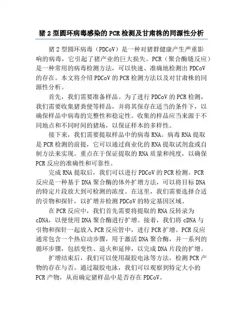 猪2型圆环病毒感染的PCR检测及甘肃株的同源性分析