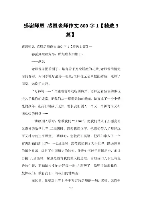 感谢师恩 感恩老师作文800字1【精选3篇】