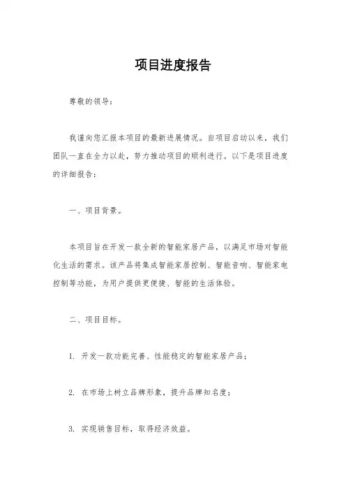 项目进度报告