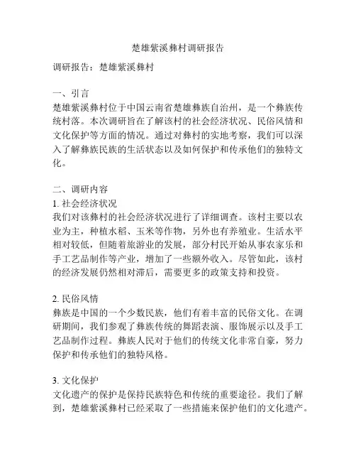 楚雄紫溪彝村调研报告