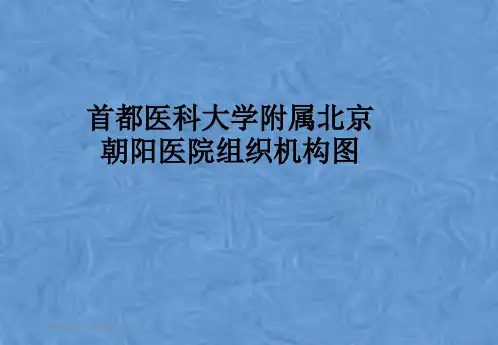 首都医科大学附属北京朝阳医院组织机构图
