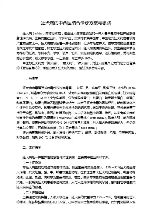 狂犬病的中西医结合诊疗方案与思路