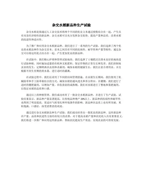 杂交水稻新品种生产试验