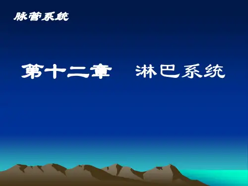 解剖学淋巴系统