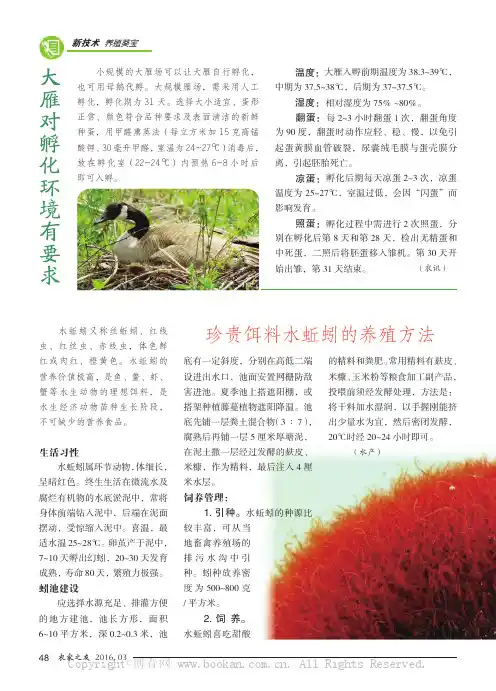 大雁对孵化环境有要求