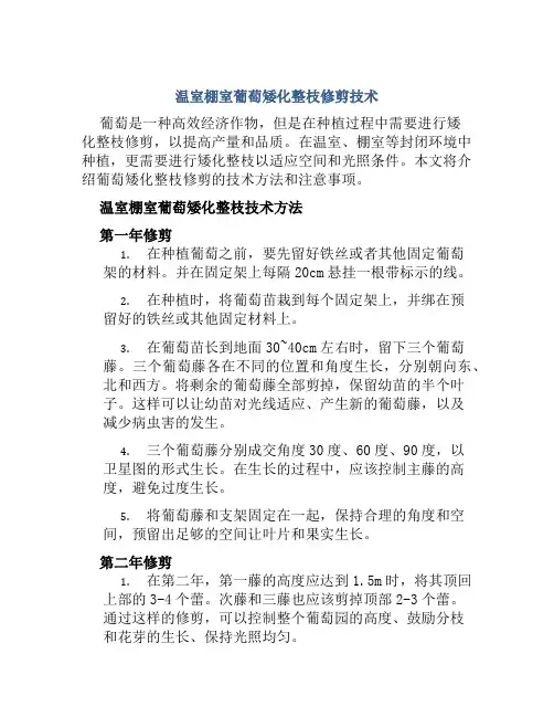 温室棚室葡萄矮化整枝修剪技术