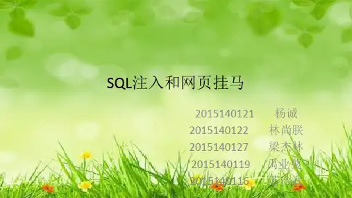 课件：注入和网页挂马