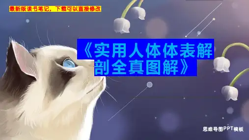 《实用人体体表解剖全真图解》读书笔记思维导图PPT模板下载