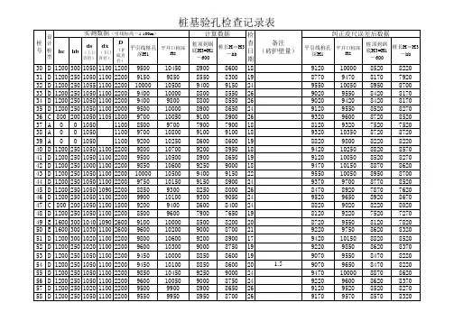 桩基验孔检查记录表